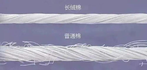 能把一雙襪子做到這種程度的,我只服這家