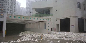 山竹過后令人毛骨悚然的一幕,不得不為人類的未來?yè)?dān)憂